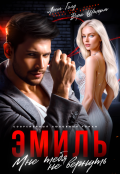 Обложка книги "Эмиль. Мне тебя не вернуть"