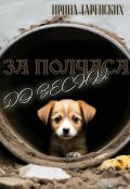 Обложка книги "За полчаса до весны"