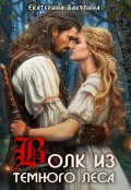 Обложка книги "Волк из темного леса"