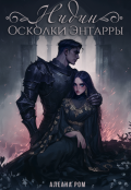 Обложка книги "Нидин. Осколки Энтарры"