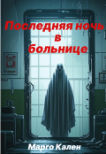 Обложка книги "Последняя ночь в больнице."