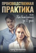 Обложка книги "Производственная практика или как влюбиться за 12 дней"