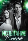 Обложка книги "Испытание Рината"
