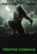 Обложка книги "Обратное отражение"