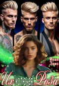 Обложка книги "Их [колючая] роза"