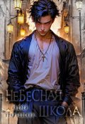 Обложка книги "Небесная школа"