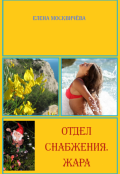 Обложка книги "Отдел снабжения. Жара"