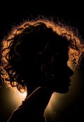 Обложка книги "Голова Агаты"