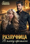 Обложка книги "Разлучница. В плену прошлого"