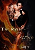 Обложка книги "Ты мой - Огонь"