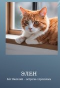Обложка книги "Кот Василий &ndash; встреча с прошлым"