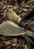 Обложка книги "Ливень"