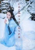 Обложка книги "Снежная буря"