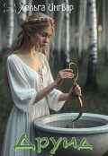 Обложка книги "Друид"