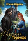 Обложка книги "Академия Теренфо"