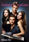 Обложка книги "Лабиринт выбора"
