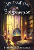 Обложка книги "Две подруги в Запределье"