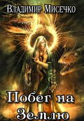 Обложка книги "Побег на Землю"