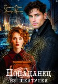 Обложка книги "Попаданец из шкатулки"