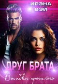 Обложка книги "Друг брата. Ошибки прошлого"