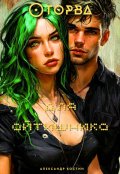 Обложка книги "Оторва для айтишника"