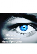 Обложка книги "Жизнь и приключения Мити Призрака"