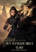 Обложка книги "Пробуждающая тьму 3. Повелительница"