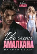 Обложка книги "Две жены Амалхана. На линии боли"