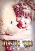 Обложка книги "Отнятое чудо"