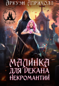 Обложка книги "Малинка для декана Некромантии"