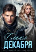 Обложка книги "Смысл декабря"