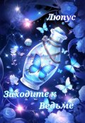 Обложка книги "Заходите к Ведьме"
