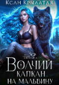 Обложка книги "Волчий капкан на Мальвину"
