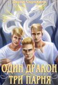 Обложка книги "Один дракон &mdash; три парня"