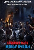 Обложка книги "Апокалипсис с небес "