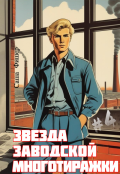 Обложка книги "Звезда заводской многотиражки - 4"