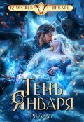Обложка книги "Тень Января"