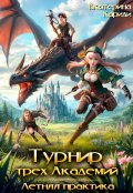Обложка книги "Турнир трех Академий. Летняя практика"