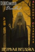 Обложка книги "Первая ведьма Благоземья"