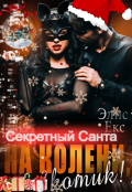 Обложка книги "На колени, Котик! Секретный Санта"