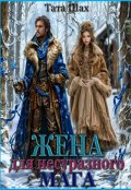 Обложка книги "Жена для несуразного мага"