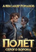 Обложка книги "Полёт Серого Ворона"