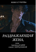 Обложка книги "Раздражающая жена, или тысяча и один спор с попаданкой"
