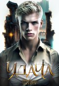 Обложка книги "Удача. Том 2."