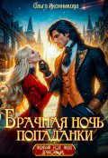 Обложка книги "Брачная ночь попаданки"