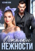 Обложка книги "Осколки нежности"