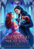 Обложка книги "Верни мою белку, Мистер Холод! Снежные проблемы мага огня"