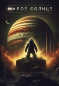 Обложка книги "Малое Солнце"