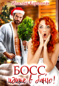 Обложка книги "Босс, идите в баню!"