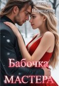 Обложка книги "Бабочка Мастера"